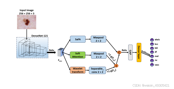 The proposed classification model utilizes the
DenseNet-121 as the backbone for feature extraction.