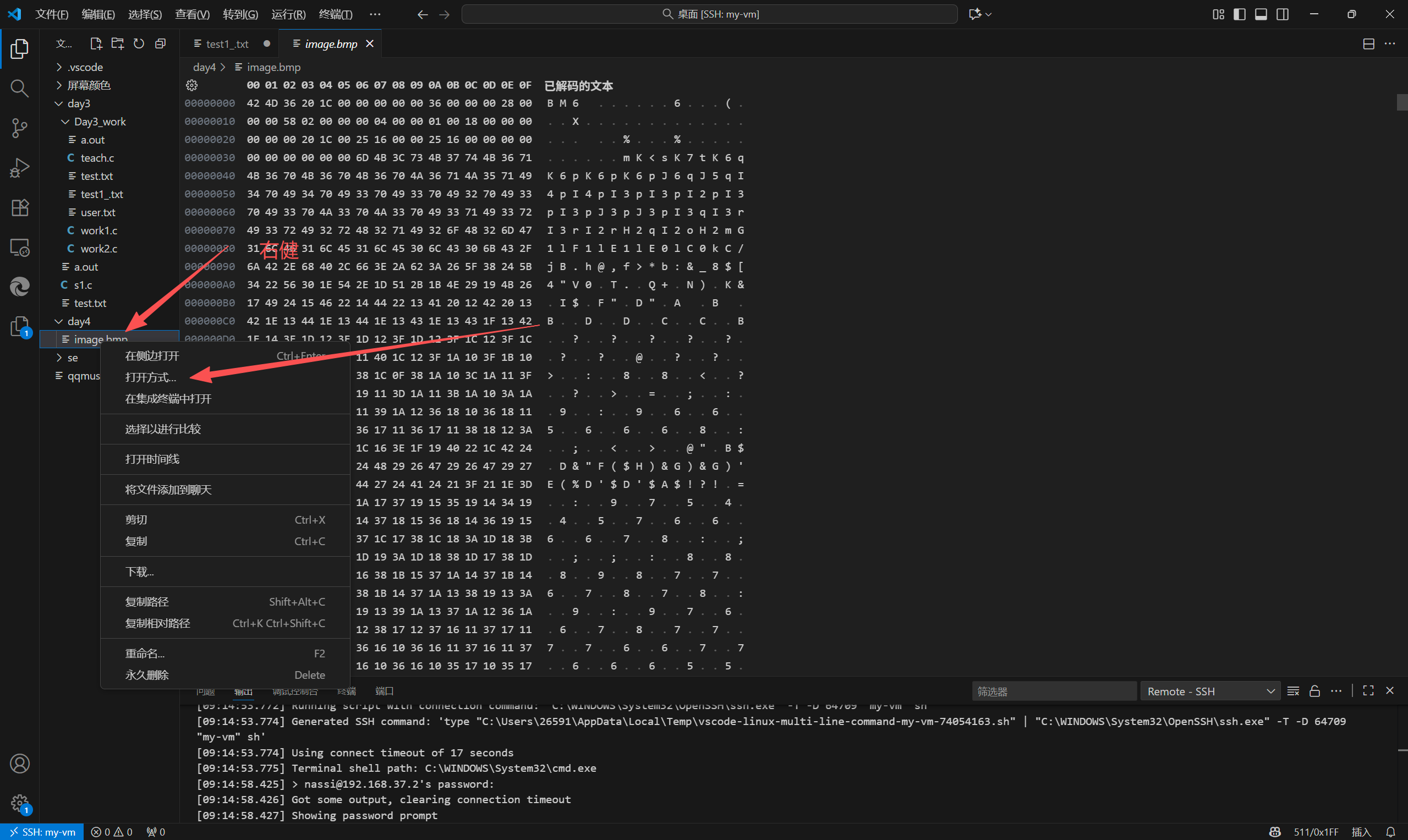 在这里插入图片描述