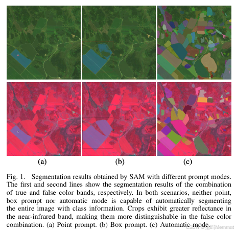 A multispectral remote sensing crop segmentation method based on SAM ...