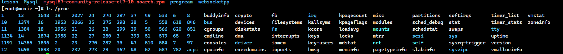 Linux 进程概念