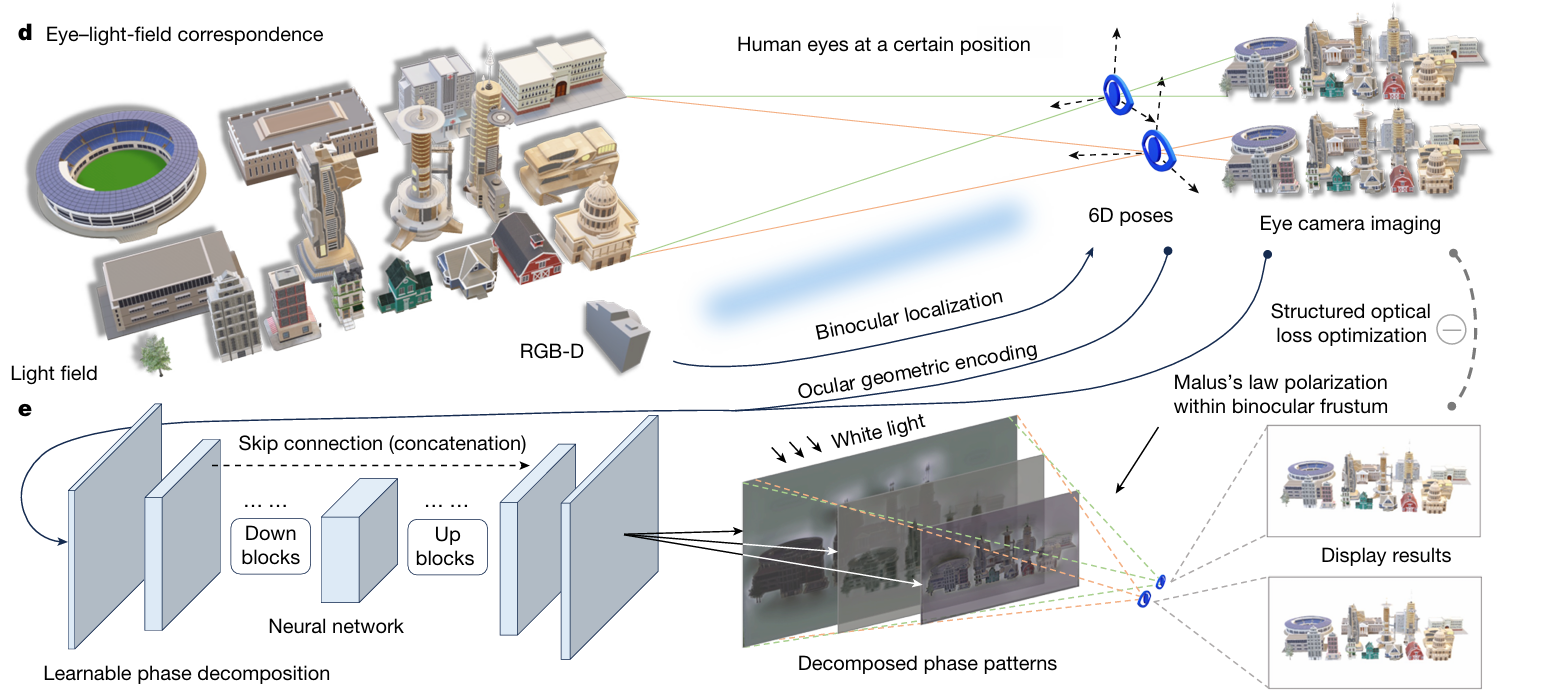 眼 - 光场对应关系示意图和可学习相位分解网络架构图
