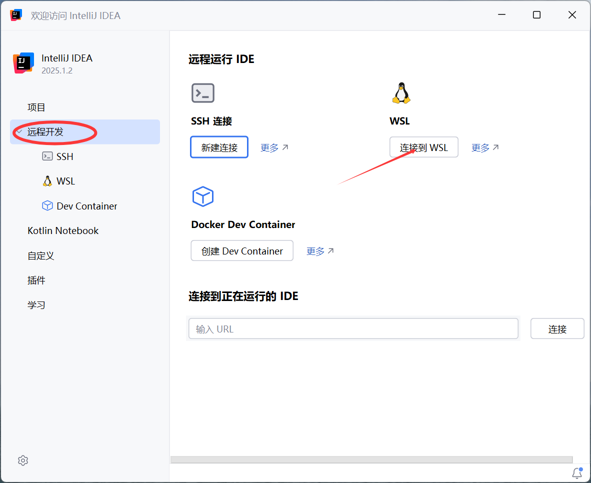 Idea连接到WSL