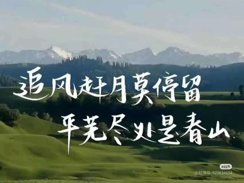 文章图片
