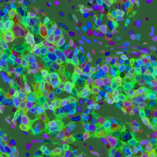 Cellpose-SAM-CSDN博客