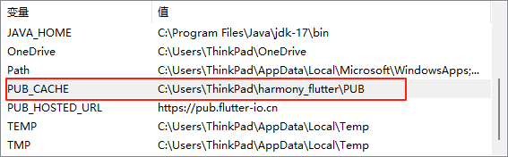 PUB_CACHE