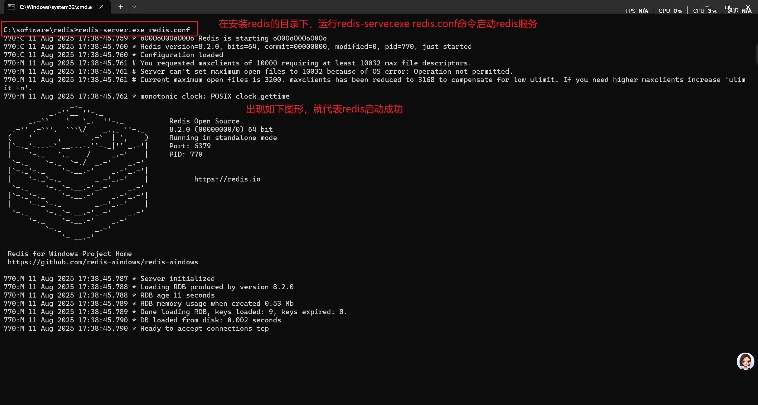 启动redis