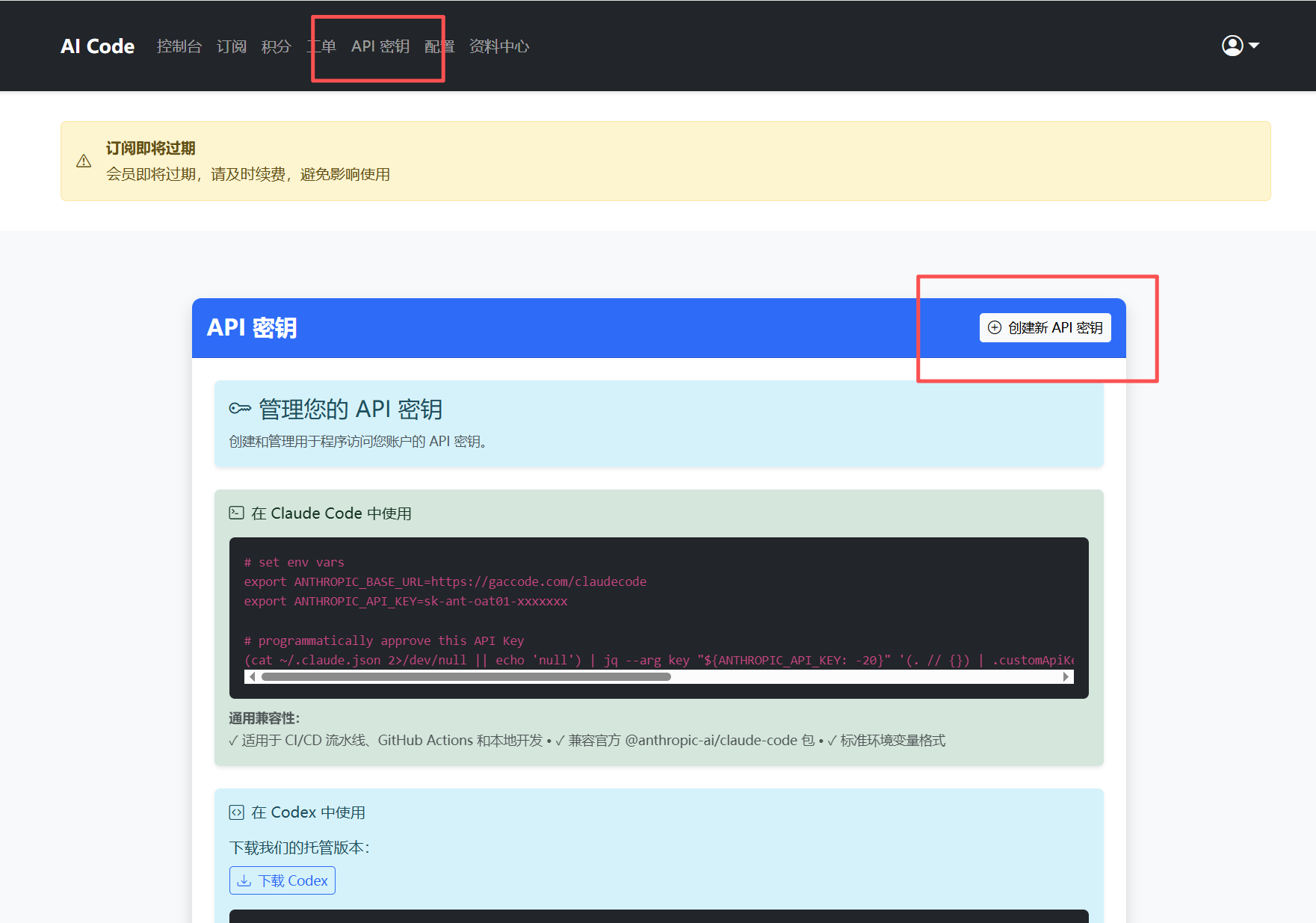 Codex Api Key AI编程之codex使用教程-CSDN博客