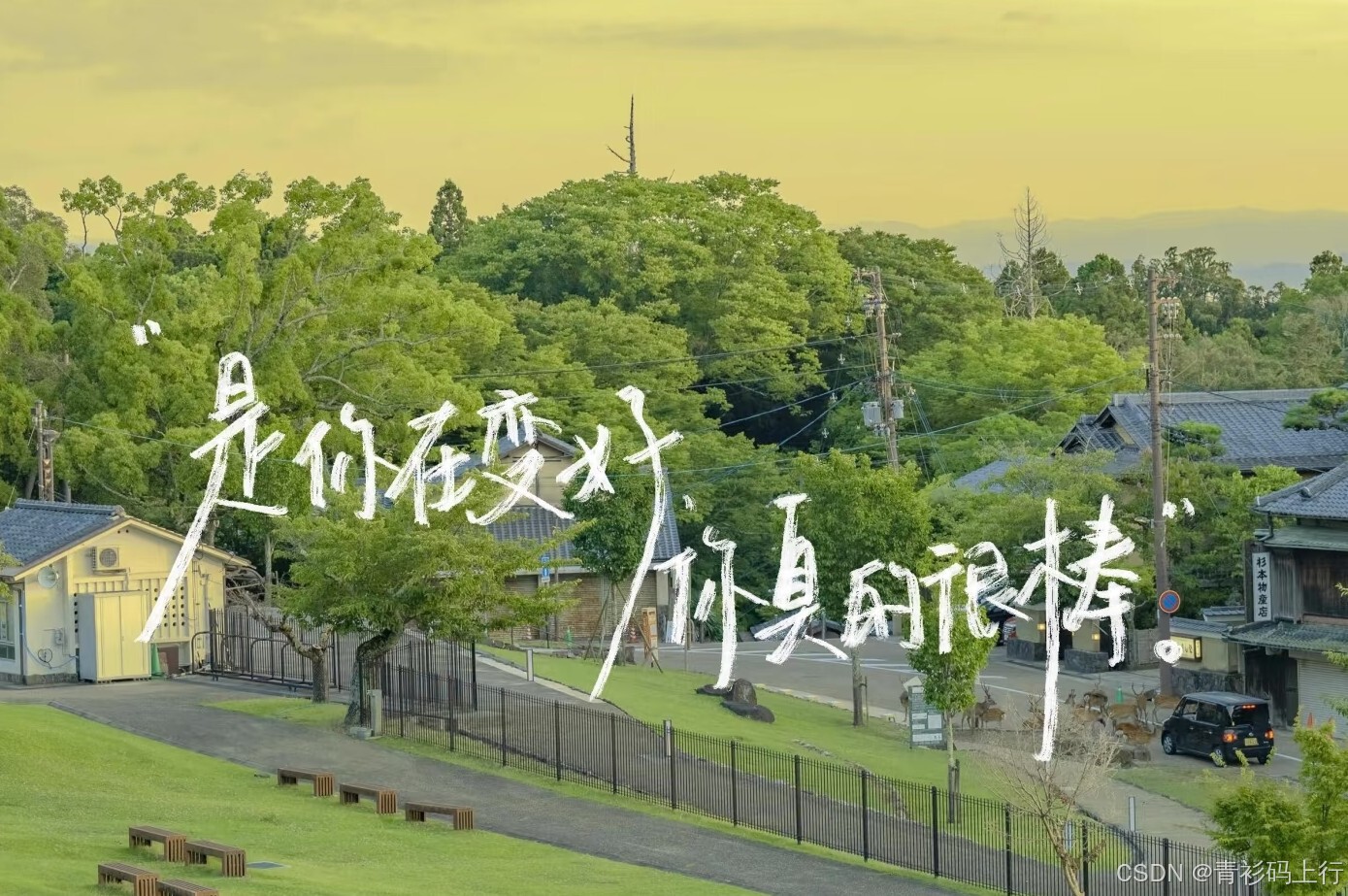 在這里插入圖片描述
