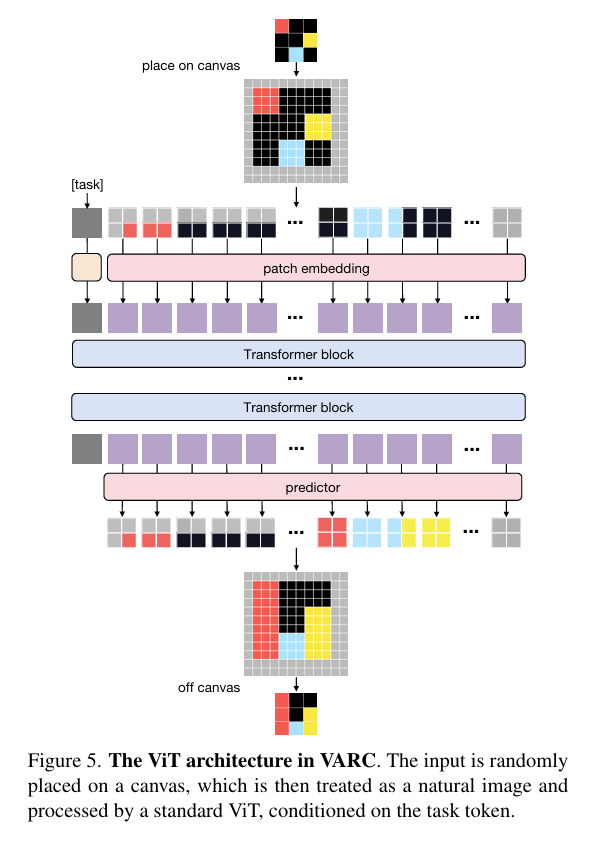 The ViT architecture in VARC.