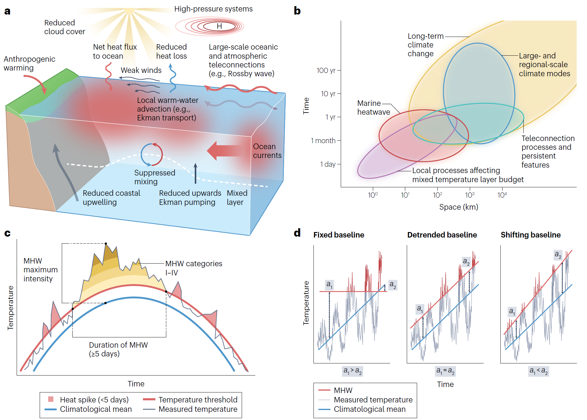 Nature Reviews Biodiversity2025 海洋热浪:气候变化热点及其对生物多样性和生态系统服务的影响Marine ...