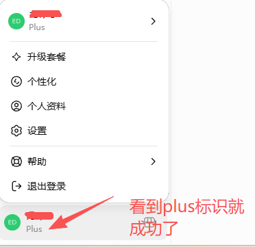 看到plus标识就成功了