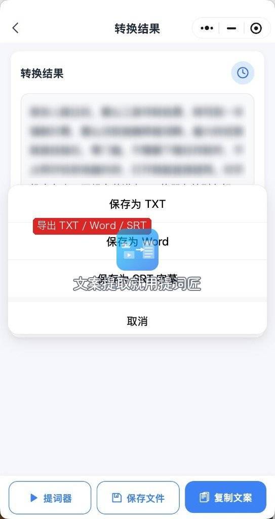提词匠导出TXT Word SRT