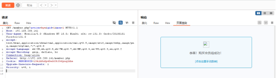 image-20241228233155449