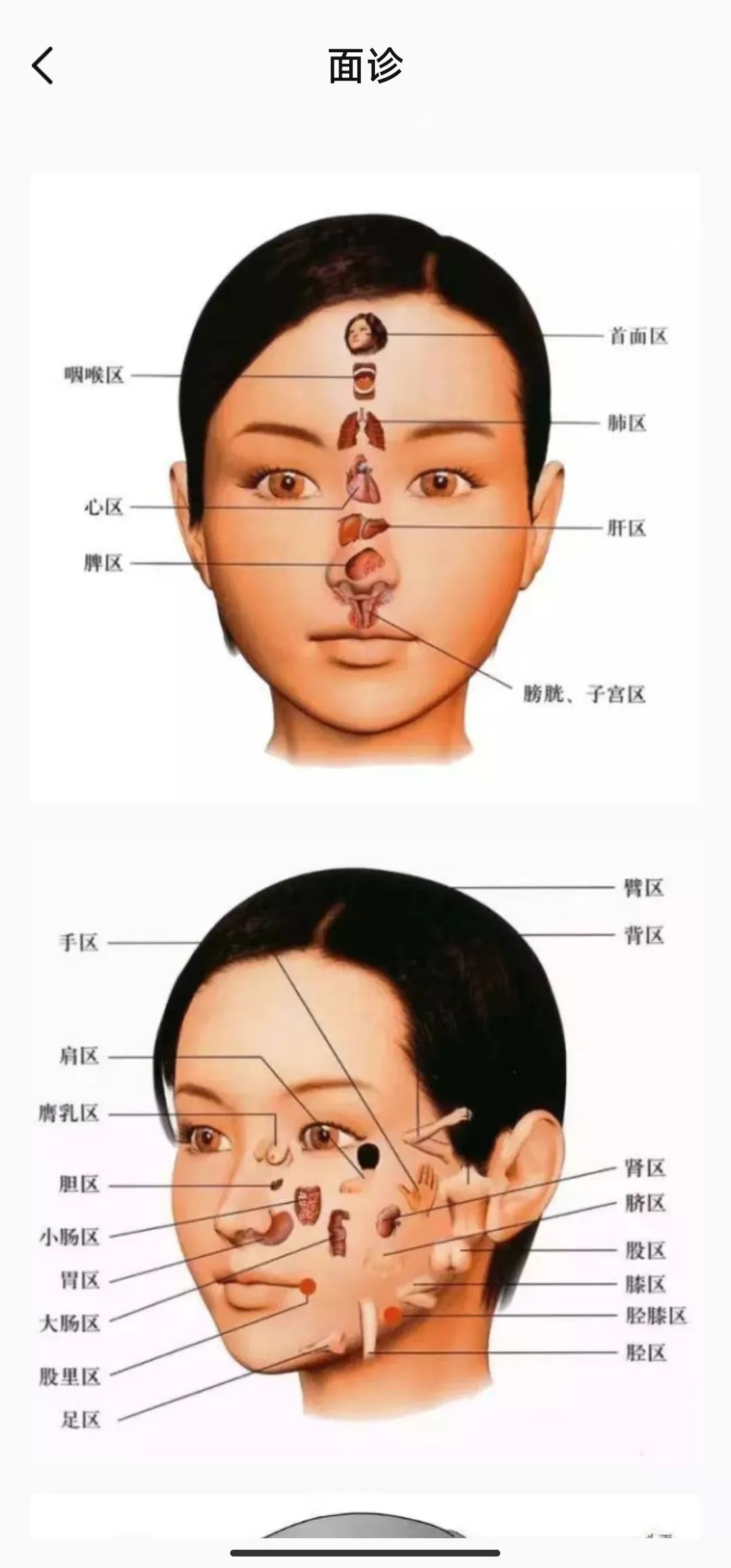 中医舌诊学习软件,图文视频详解-CSDN博客