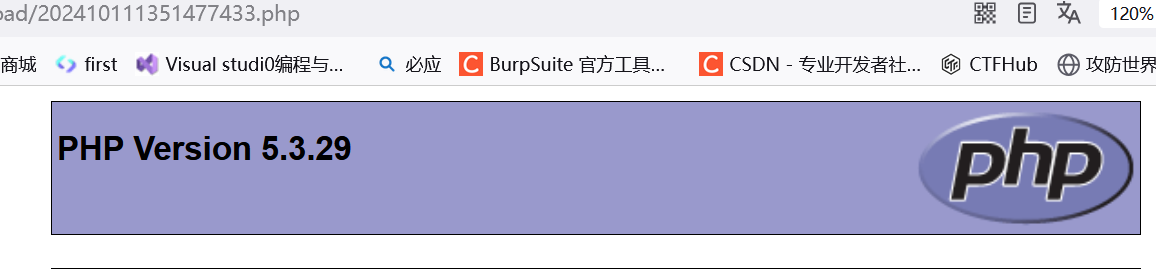 image-20241011215355597