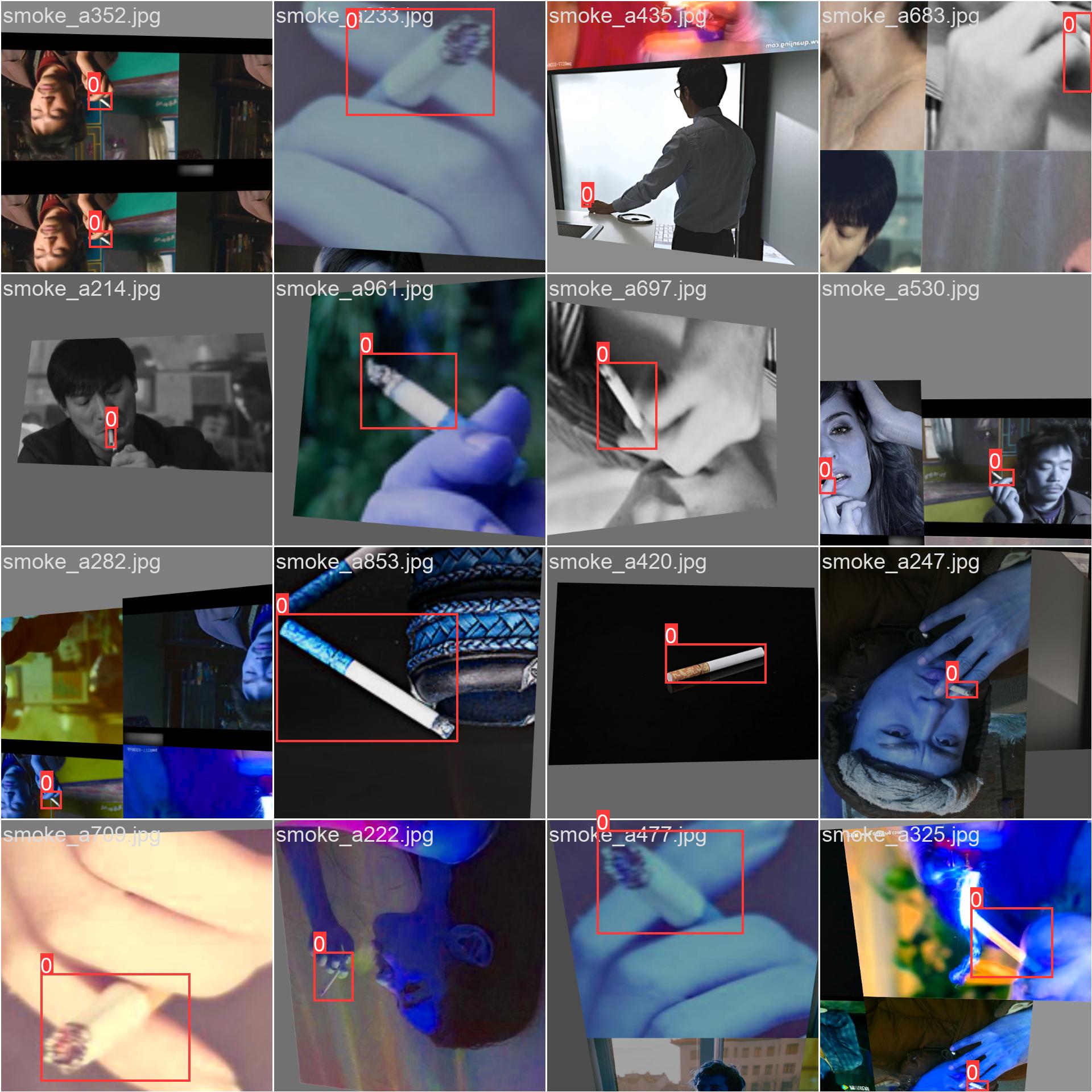 38_dosmoke_detect-train_batch0.jpg