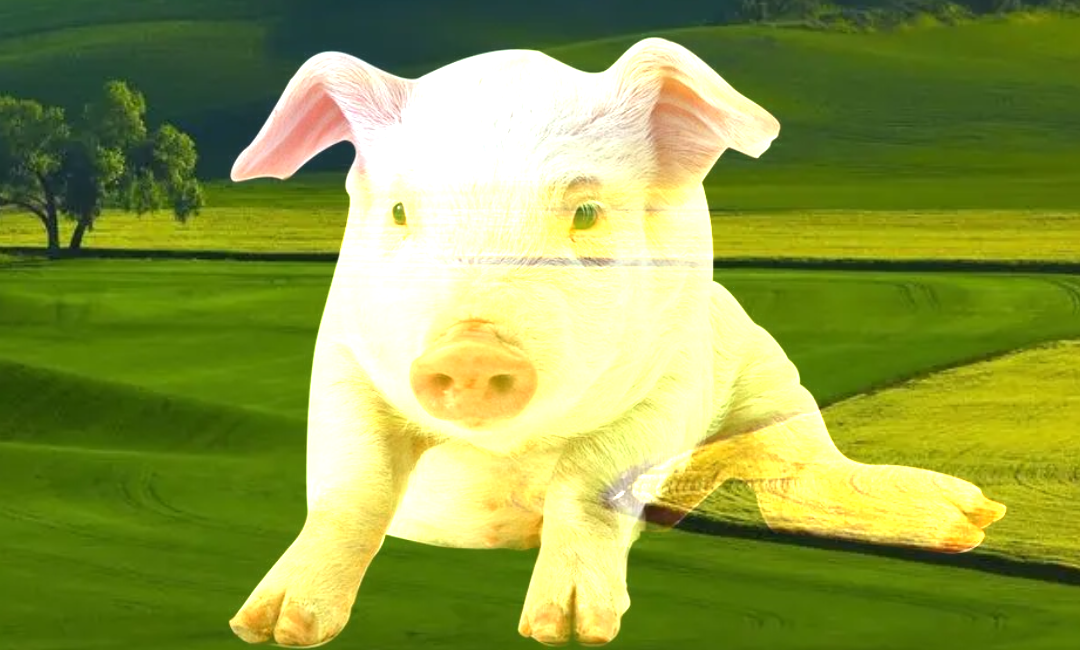 image-20250723182011347