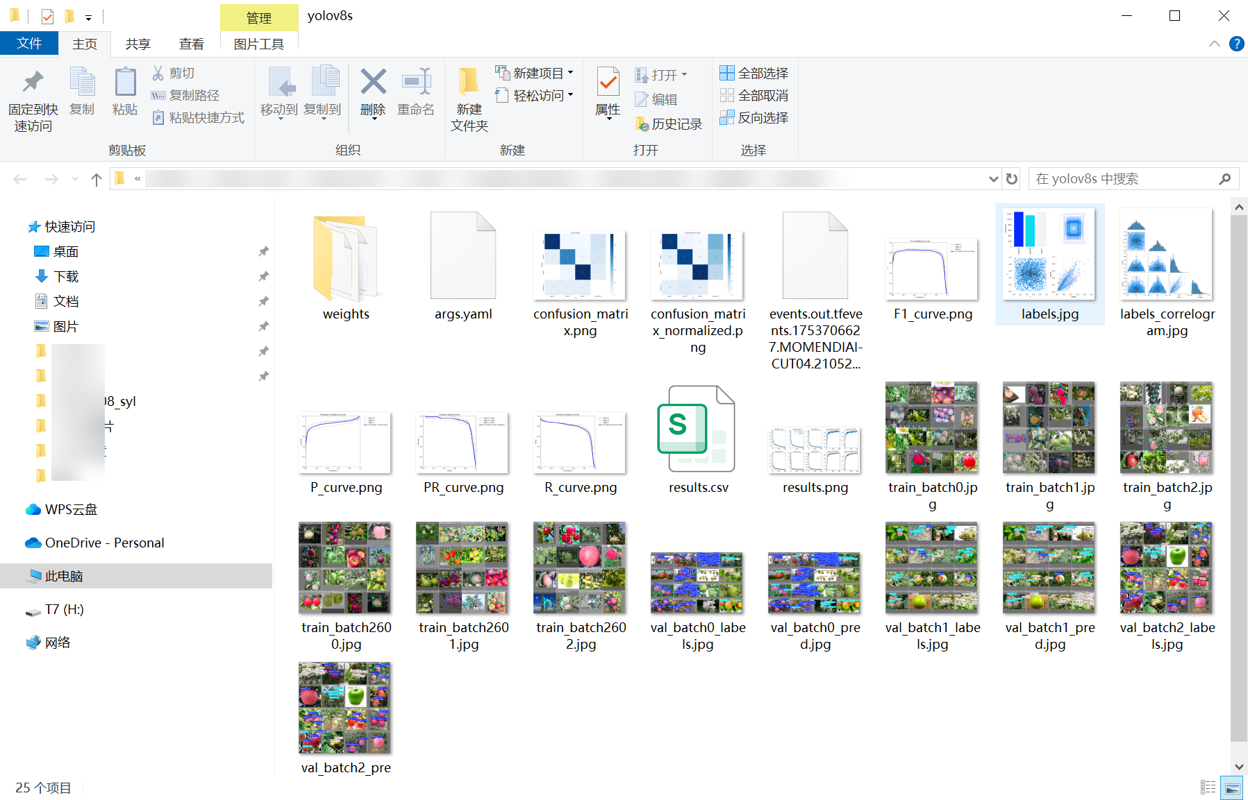 70_apple_maturity-weights_folder_screenshot.png
