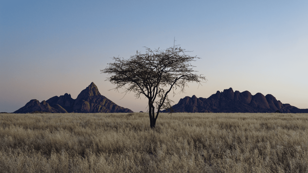 从被喷“假开源”到登顶 GitHub 热榜,这个开源项目上演王者归来!