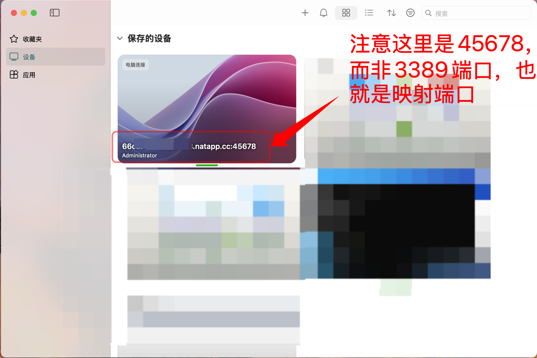 在 Mac 客户端中填写 Natapp 公网地址