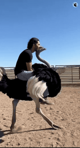 【最全Sora2官方提示词】Sora 2使用教程：新一代真实世界级AI视频生成_含Sora API使用示例与在线使用