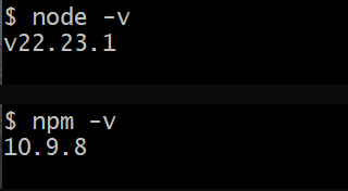 实测环境为 Node.js 22.23.1 与 npm 10.9.8,用户名、电脑名和本地路径已裁掉