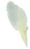 032469d6c919c296087a48c8b49e9ed2.png