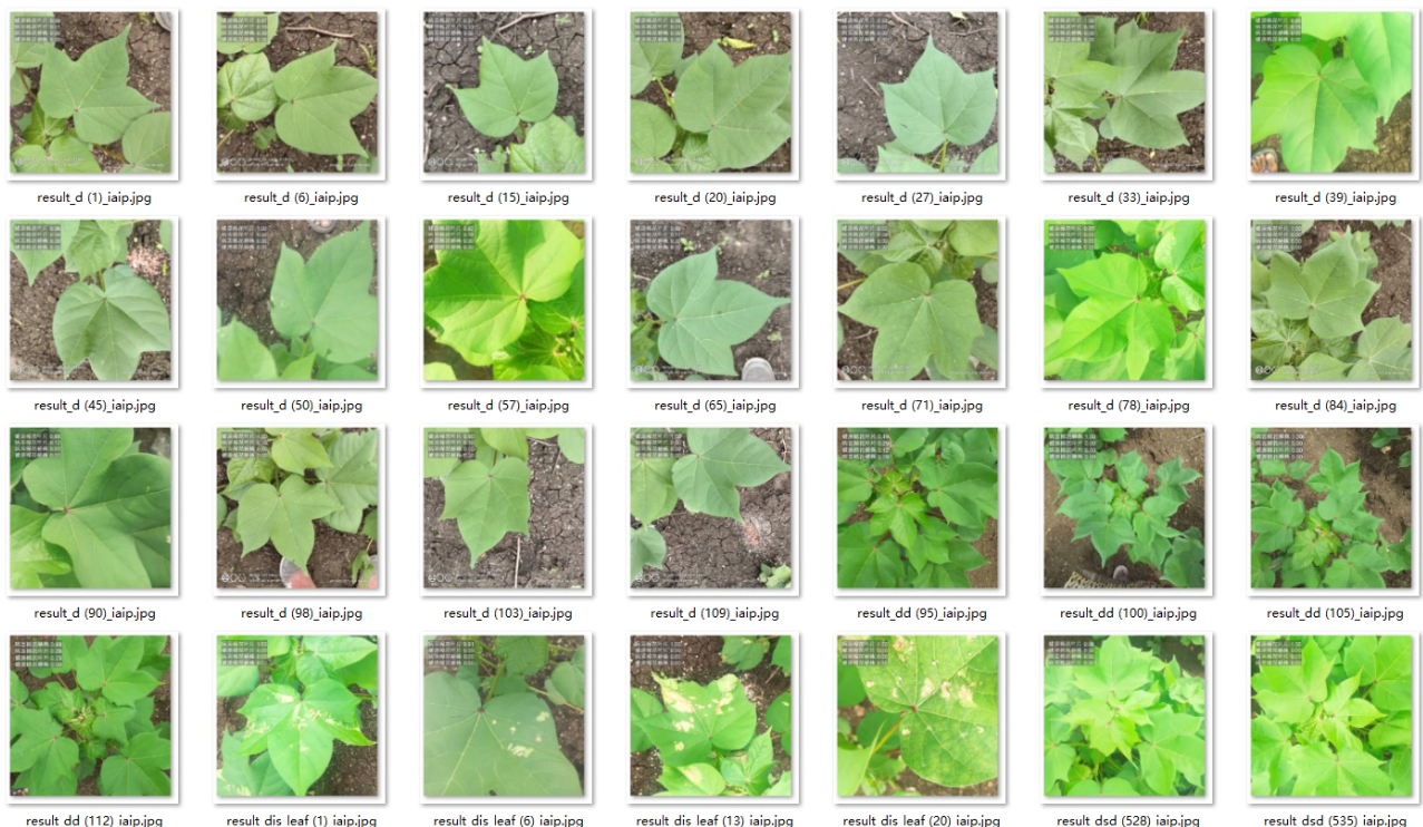 image-20260113011415250