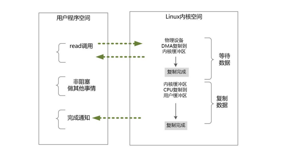 image-20251023144456502