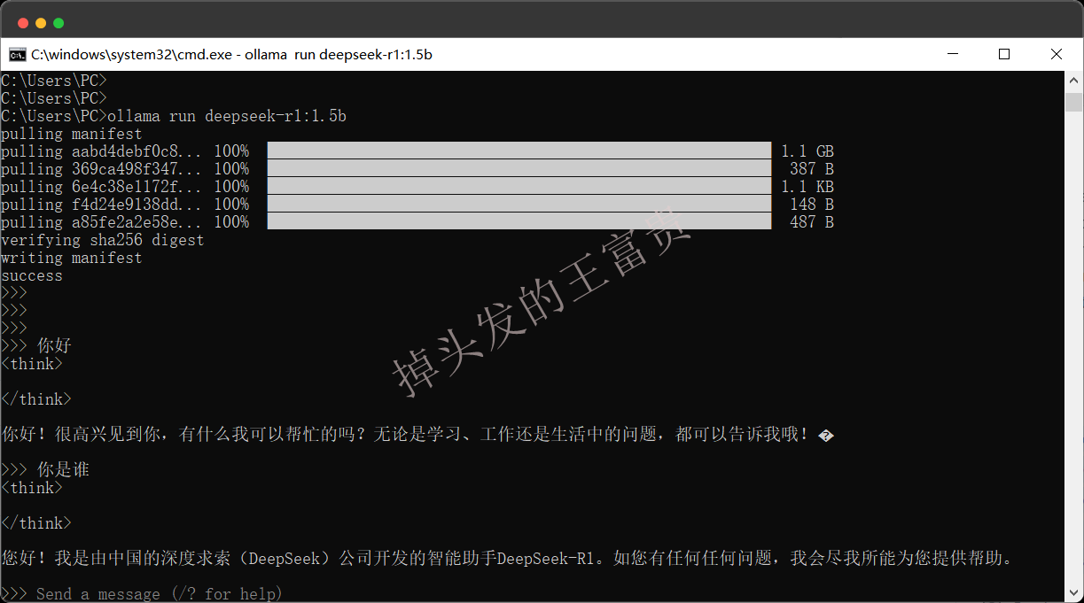 image-20250206185757928