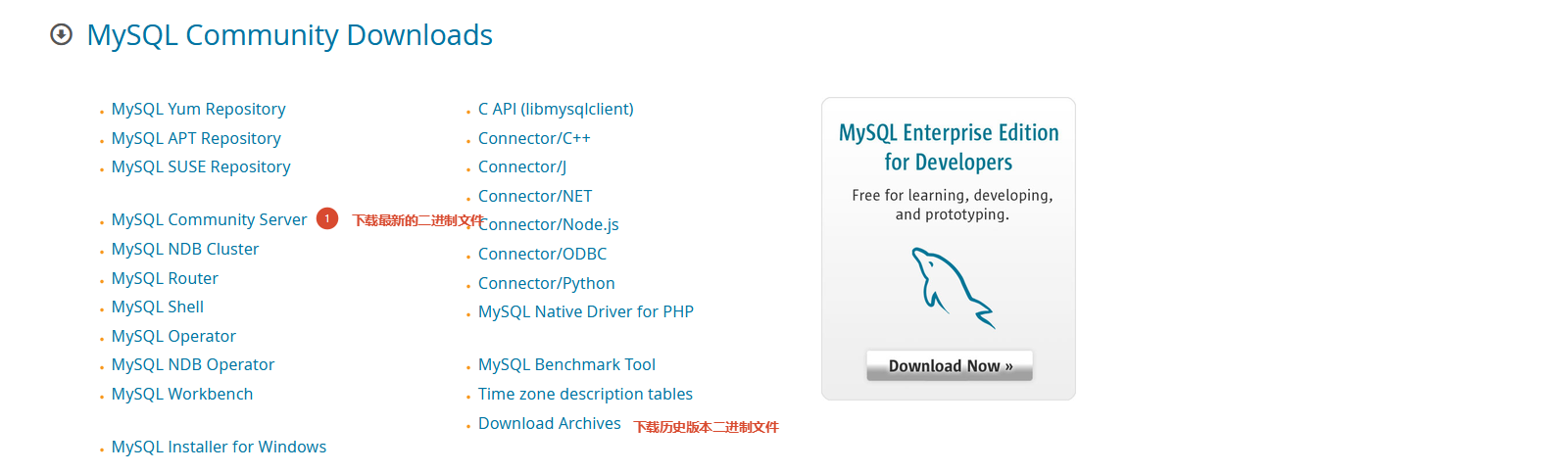 image-20260814111745164
