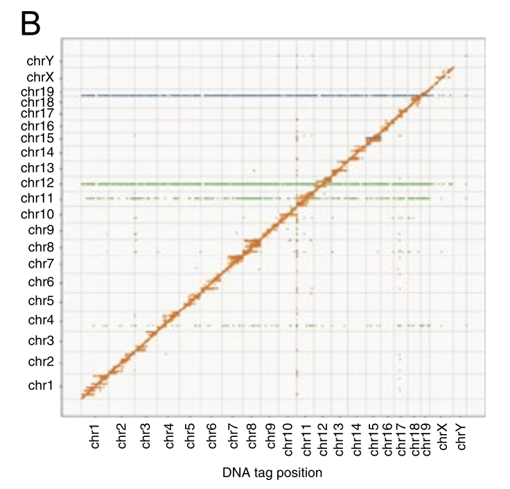 RADICL-seq：更高效、更精准的染色质-RNA互作研究方法，绘制更完整的染色质-RNA互作图谱-CSDN博客