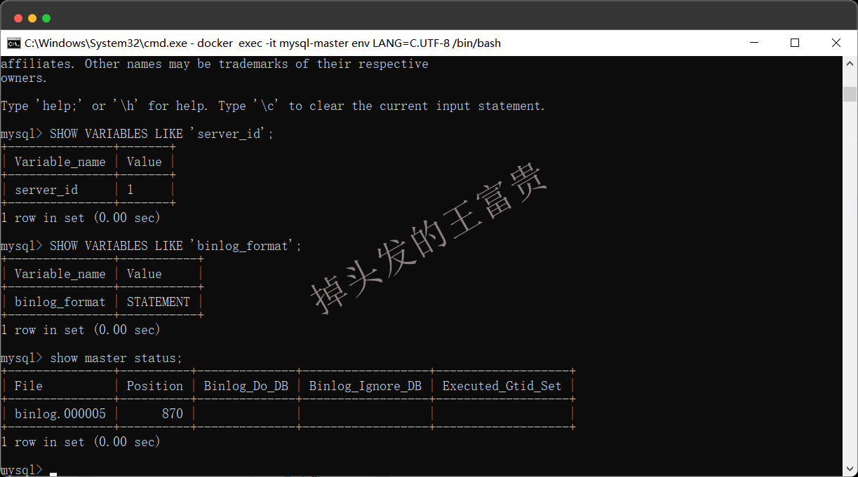 image-20250723204139781