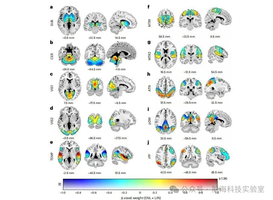 Nature Mental Health：研究人员发现了使用 fMRI 扫描识别精神障碍特征的新方法-CSDN博客