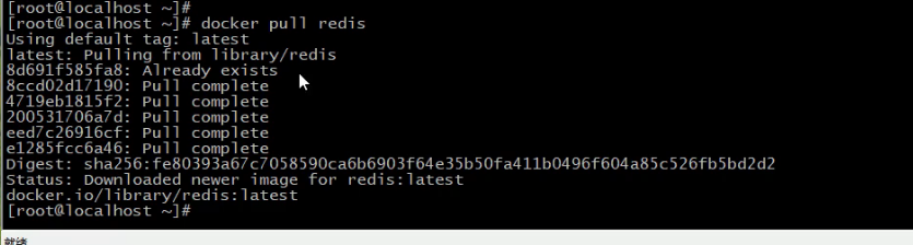 image-20260511204602209