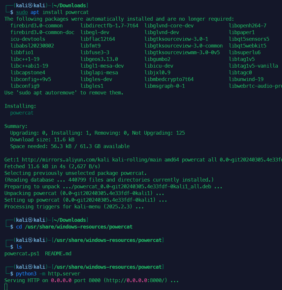 image-20250514212503813