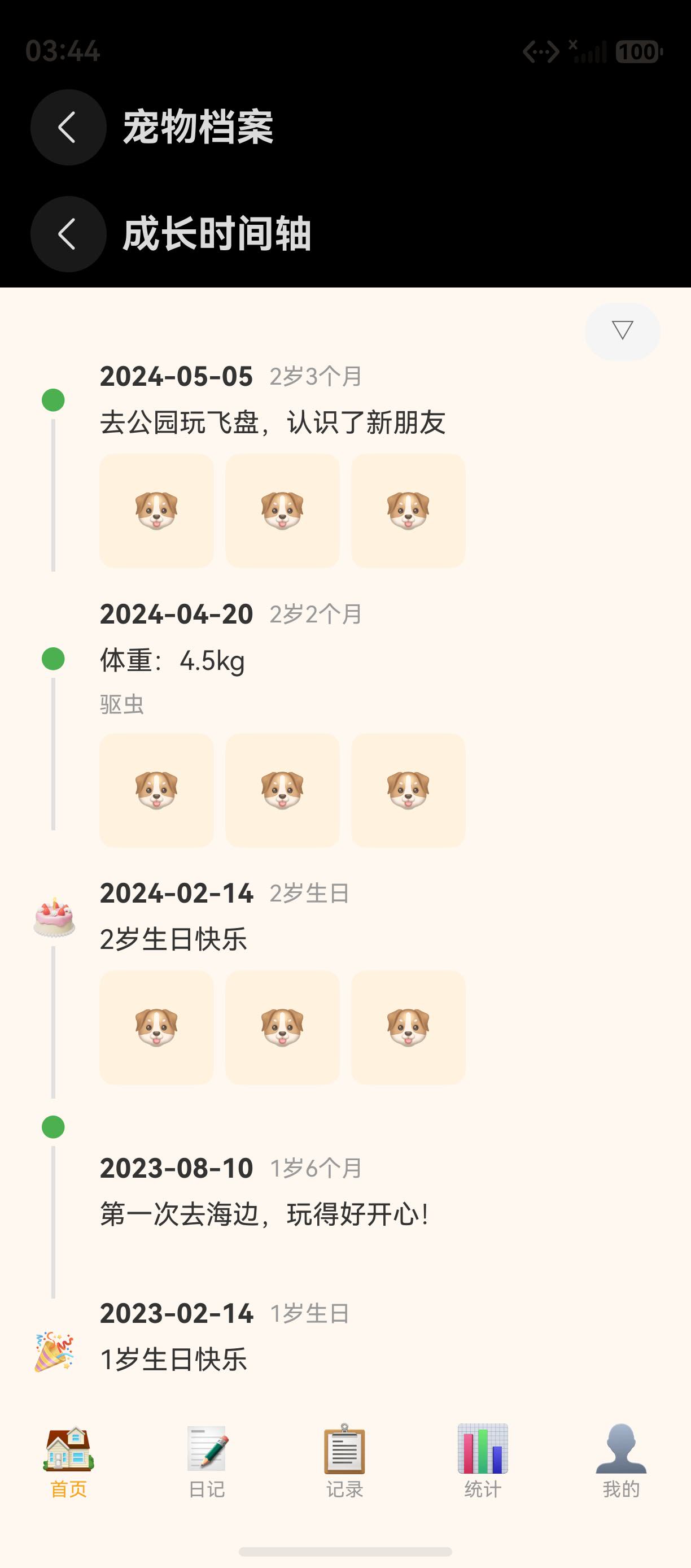 页面预览