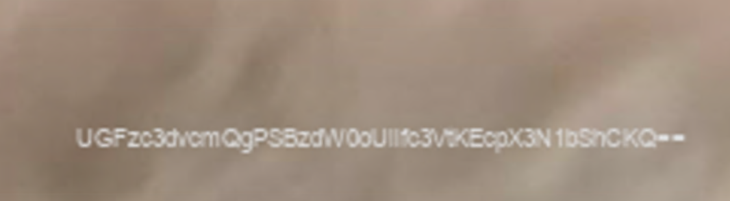 image-20250515213933179