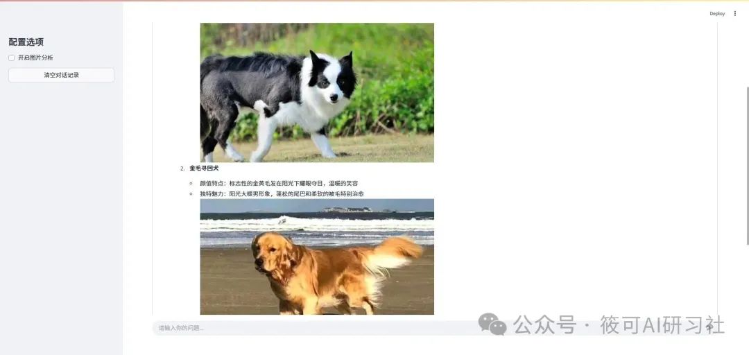 图文问答2