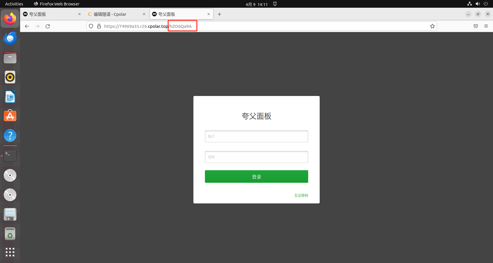 image-20250409141142830