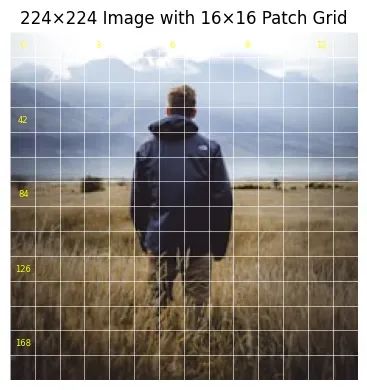 ViTAR:模糊位置编码让视觉Transformer适配任意分辨率图像_神经网络_10