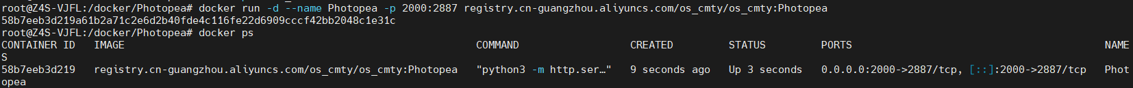 Running the Photopea container