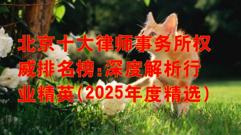 360截图20250508165803941.jpg