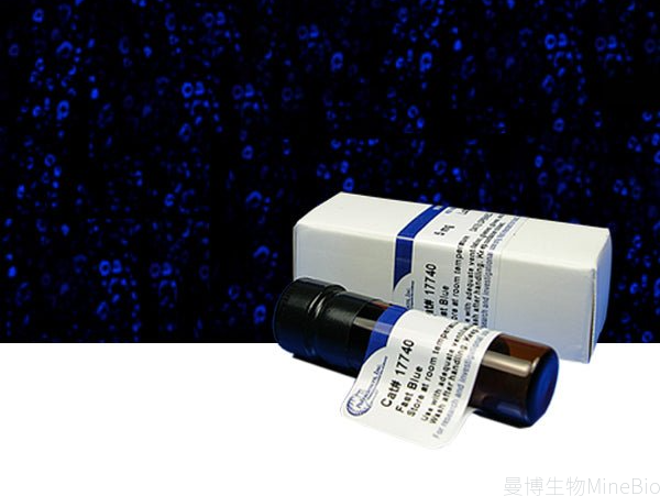 Polysciences Fast Blue与蓝色荧光标记示意图