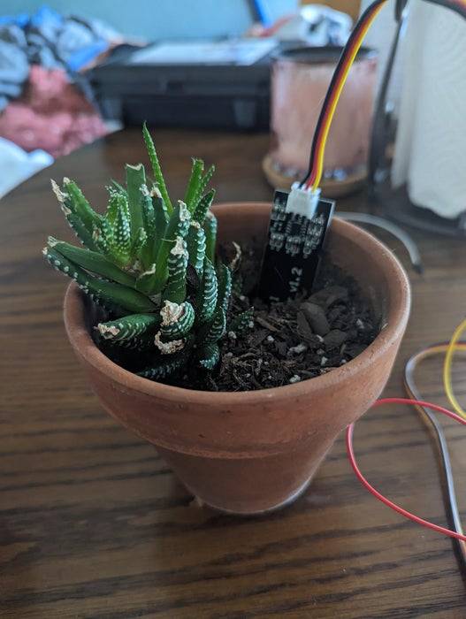 使用 ESP32 和 LCD 显示植物湿度