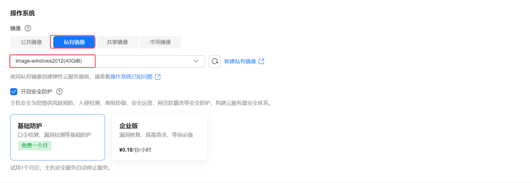 使用私有镜像购买