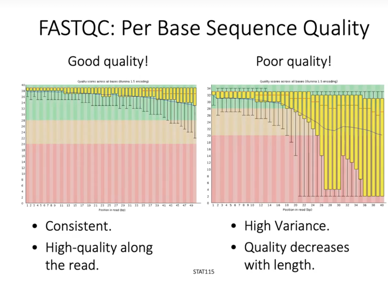 Fastq fastqc 01 CSDN 