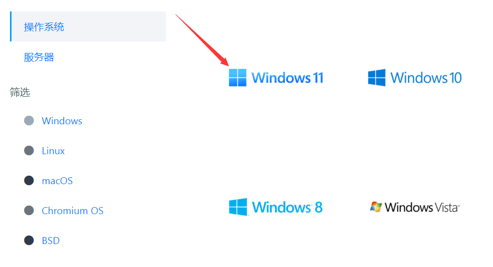选择windows11系统