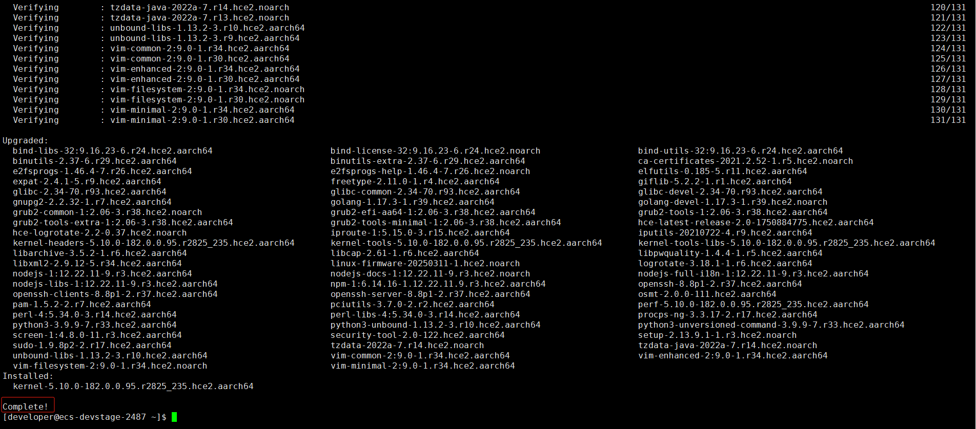 image-20250731173516132