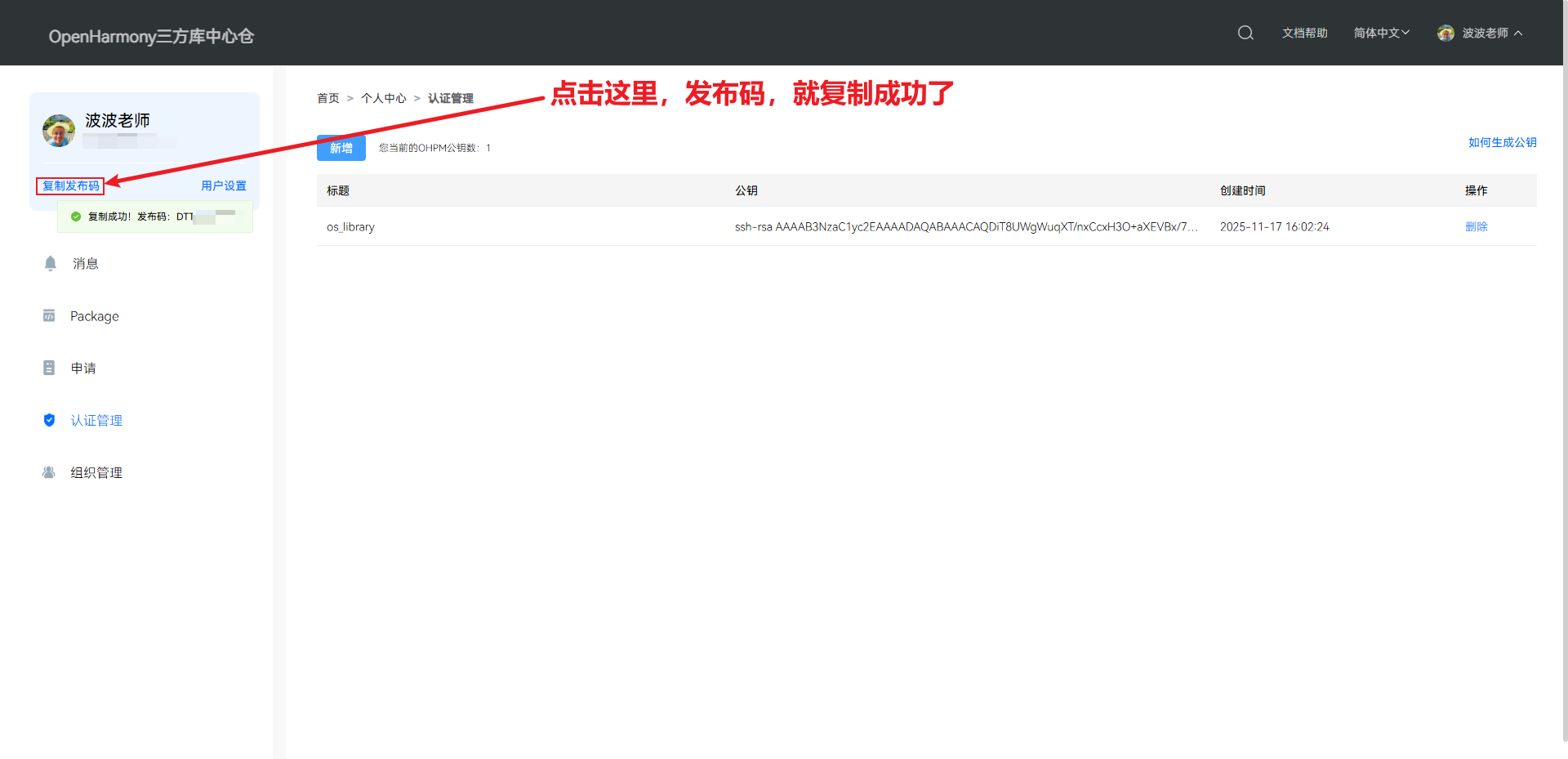 image-20251117212718603